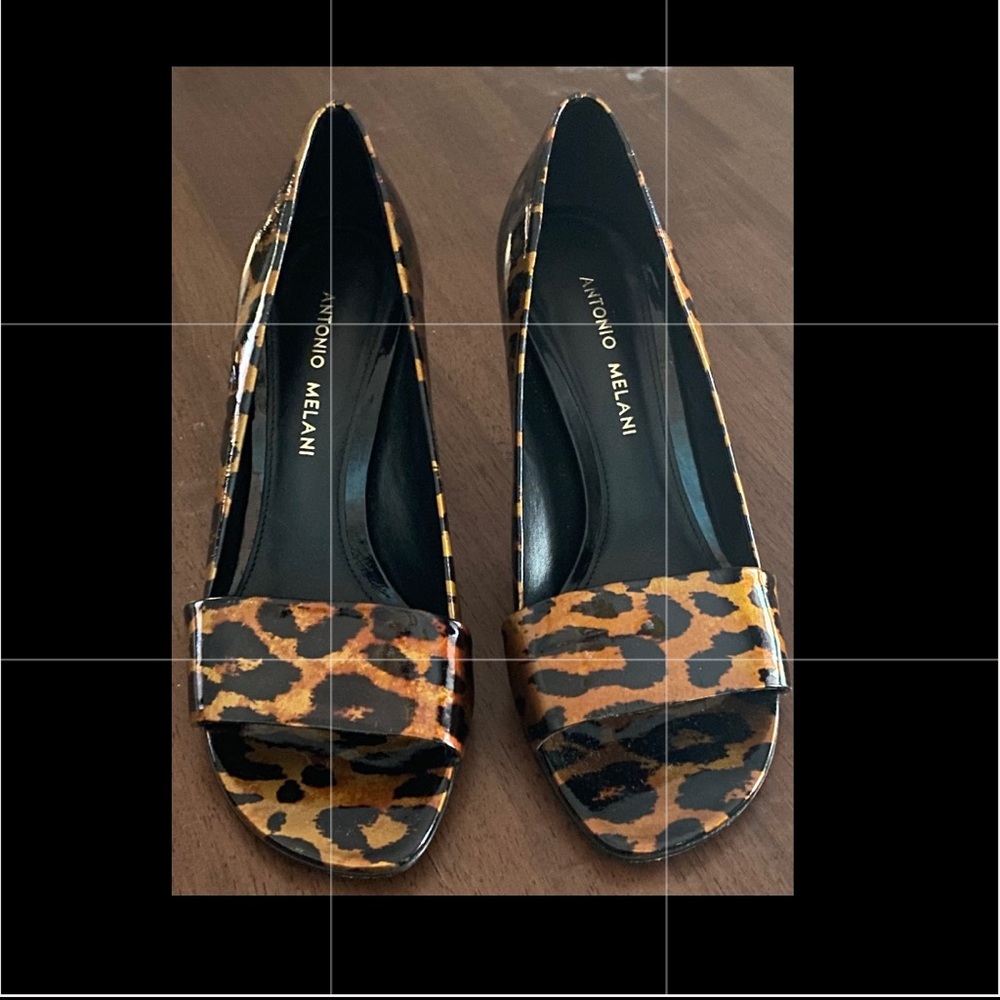 Antonio Melanie Shoes
